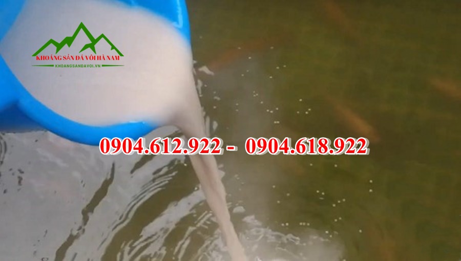Vôi dolomite thủy sản