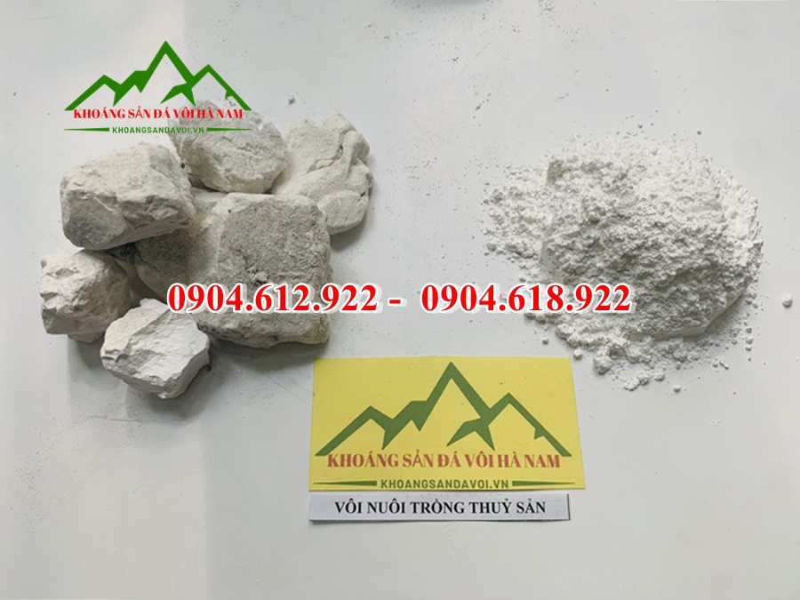 mua vôi thủy sản ở đâu