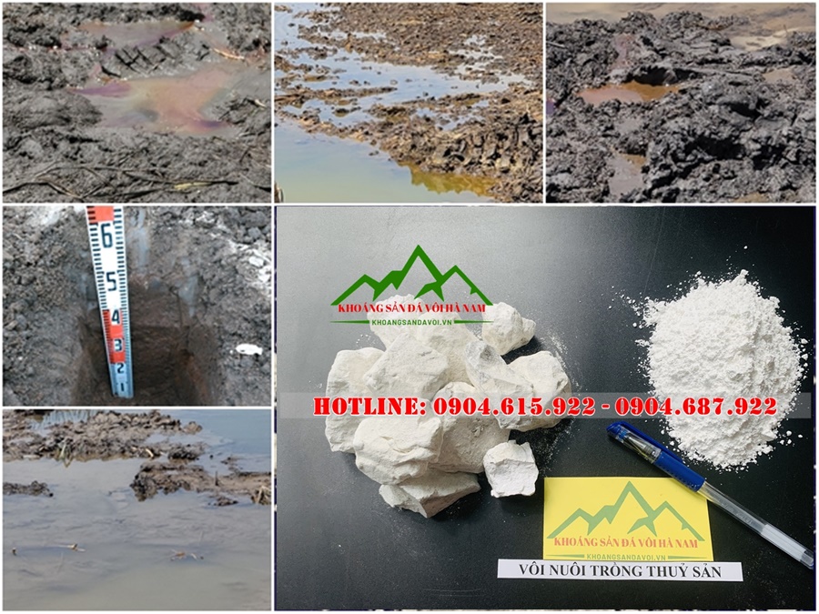 voi-nuoi-trong-thuy-san