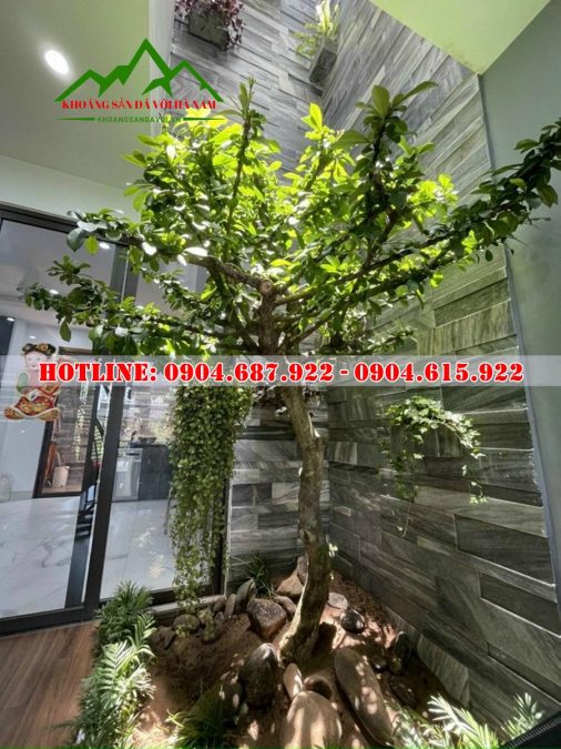 Bán đá sọc dưa ốp lát