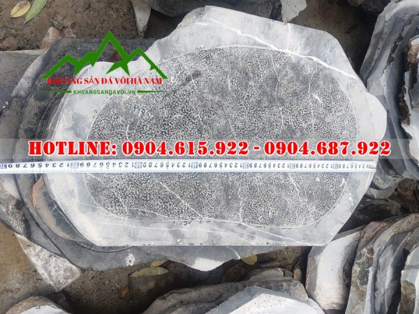 da-buoc-dao-trang-tri-san-vuon