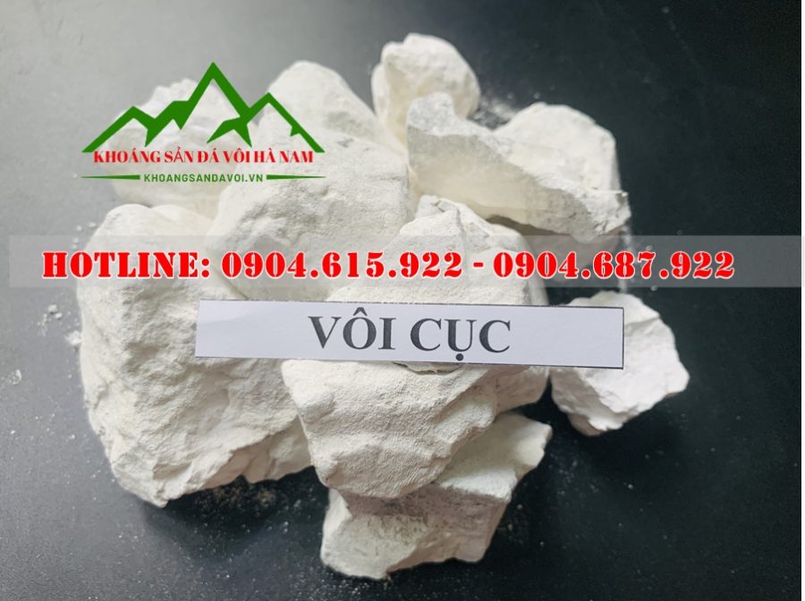 bao-gia-voi-cuc-tại-nha-may