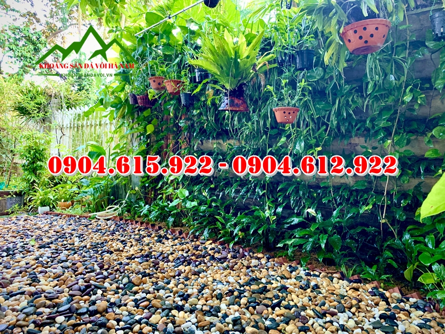 Soi-vang-rai-vuon (1)