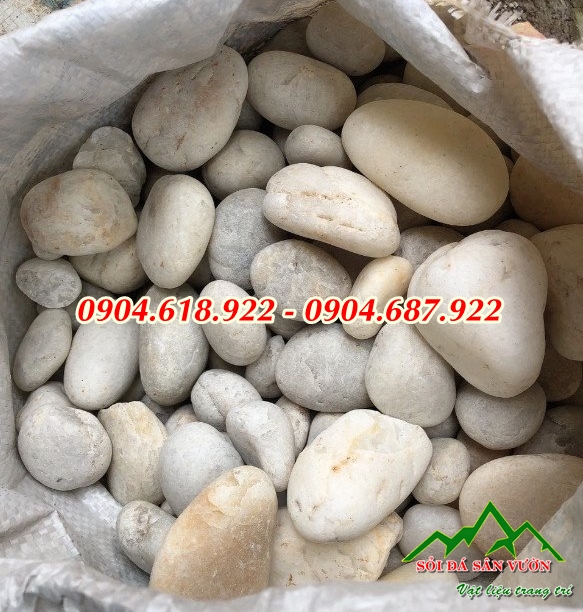 cung-cap-soi-trang-trang-tri-gia-tai-xuong (1)