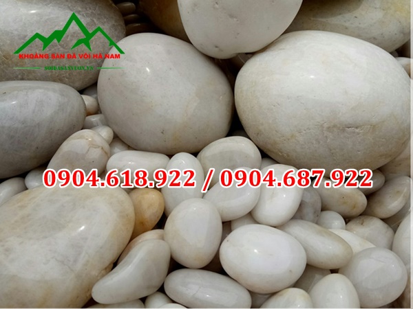 cung-cap-soi-trang-trang-tri-gia-tai-xuong (5)