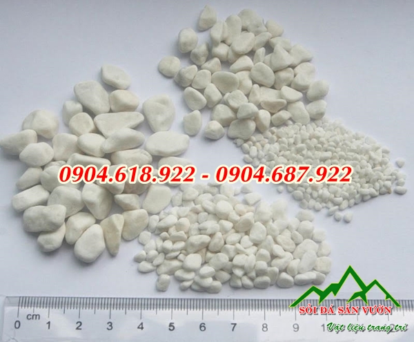 cung-cap-soi-trang-trang-tri-gia-tai-xuong (3)