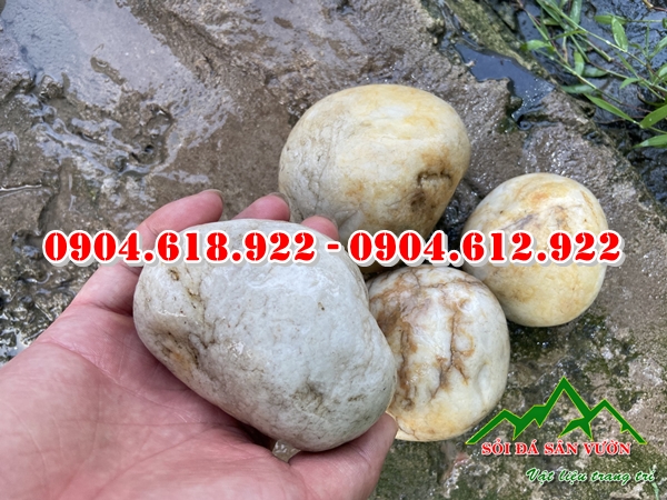 cung-cap-soi-trang-trang-tri-gia-tai-xuong (2)