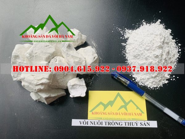 voi-tinh-nuoi-trong-thuy-san