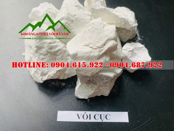 bao-gia-voi-cuc