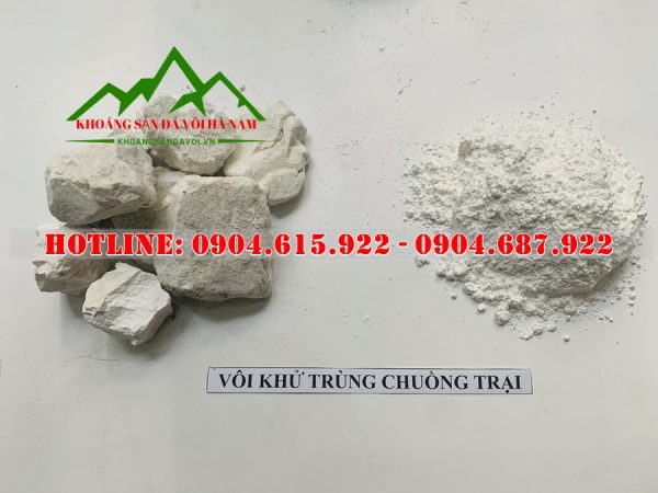 voi-tinh-khu-trung-chuong-trai
