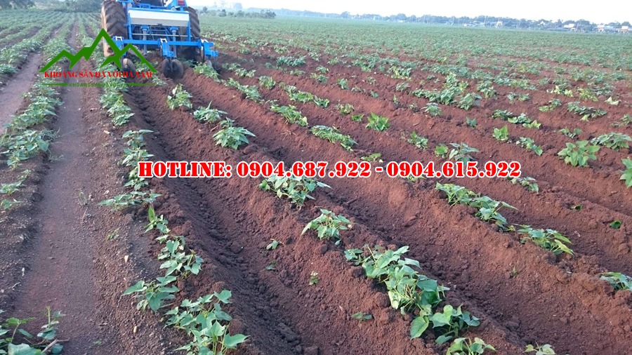 cung cấp vôi Dolomite tại tây nguyên