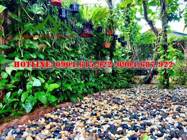 TONG-KHO-SOI-TRANG-TRI-TET