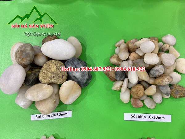 Bán sỏi trang trí