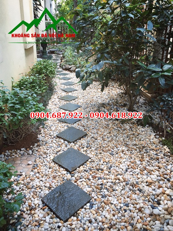 Cung cấp sỏi biển