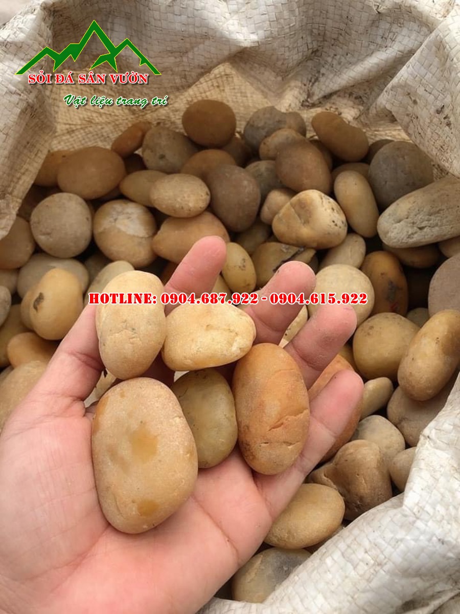 Cung cấp sỏi cuội vàng tự nhiên