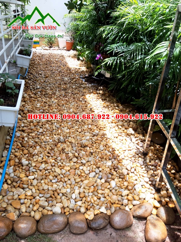 bán sỏi cuội vàng rải lối đi sân vườn