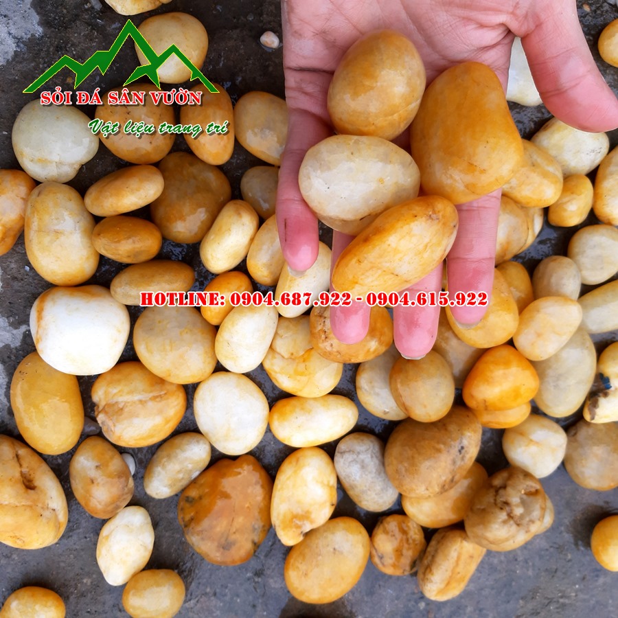 Bán sỏi cuội vàng tự nhien