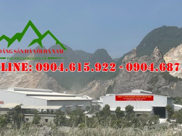 tong-kho-voi-boy-voi-cuc