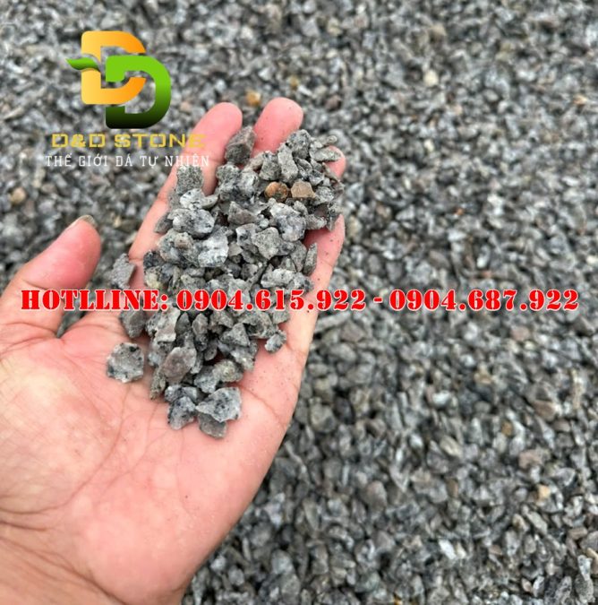 soi-nhat-soi-cao-hoa-cuong