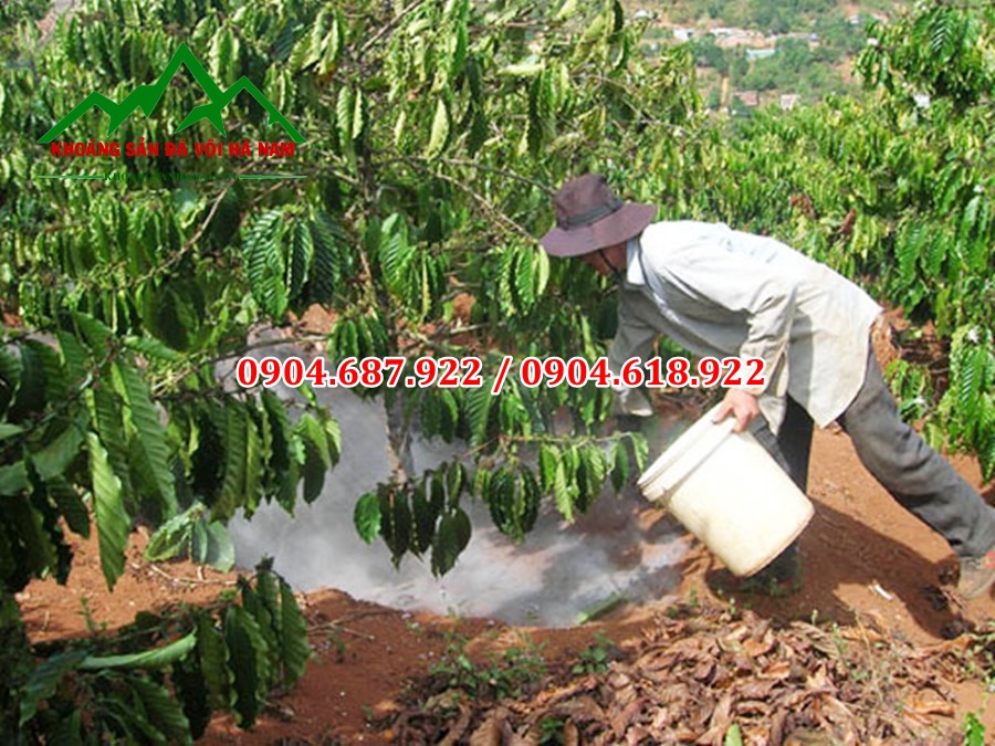 bán vôi cục tại tây nguyên