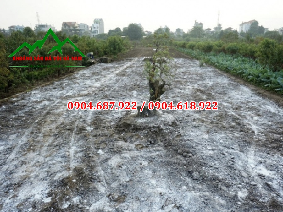 Cung cấp vôi cục tây nguyên