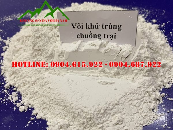 voi-khu-trung-nha-cua