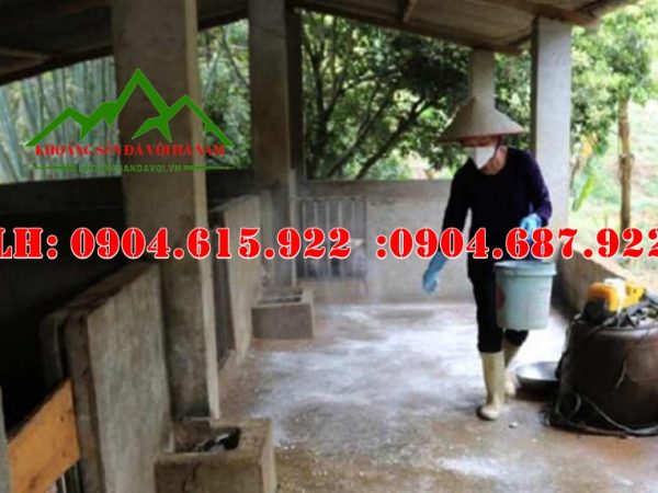 voi-bot-khu-trung-chuong-trai