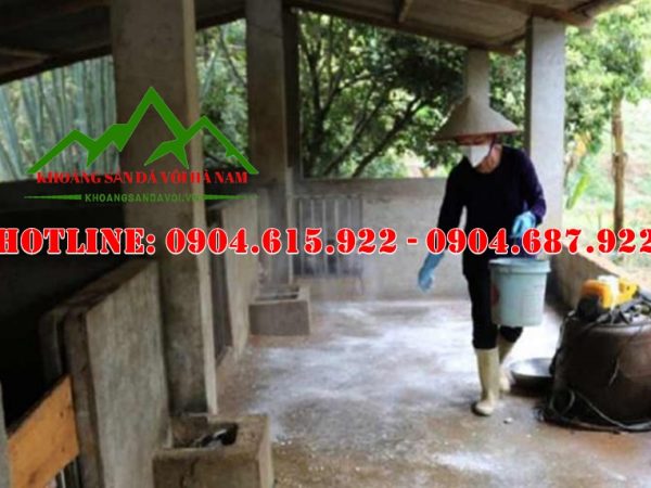 voi-khu-trung-nha-cua-sau-bao