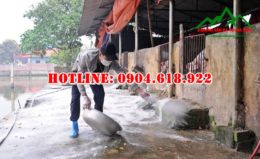 cach-su-dung-voi-khu-trung-chong-dich-ta-lon-chau-phi (1)