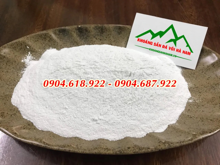 cach-su-dung-voi-khu-trung-chong-dich-ta-lon-chau-phi (5)