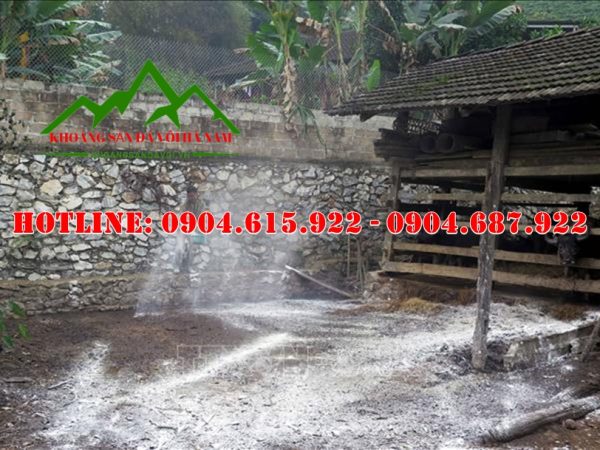 voi-khu-trung-nha-cua-sau-bao