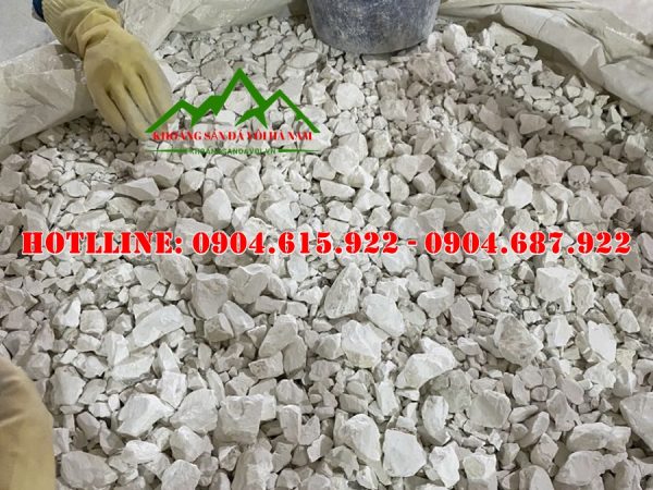 voi-khu-trung-nha-cua