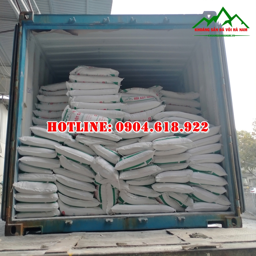 cach-su-dung-voi-khu-trung-chong-dich-ta-lon-chau-phi (6)