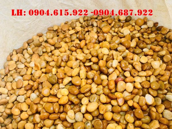 soi-vang-tu-nhien-dep