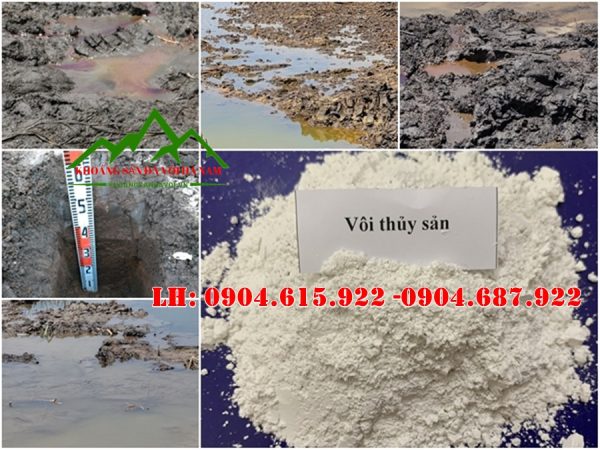 cong-dung-cua-voi-thuy-san