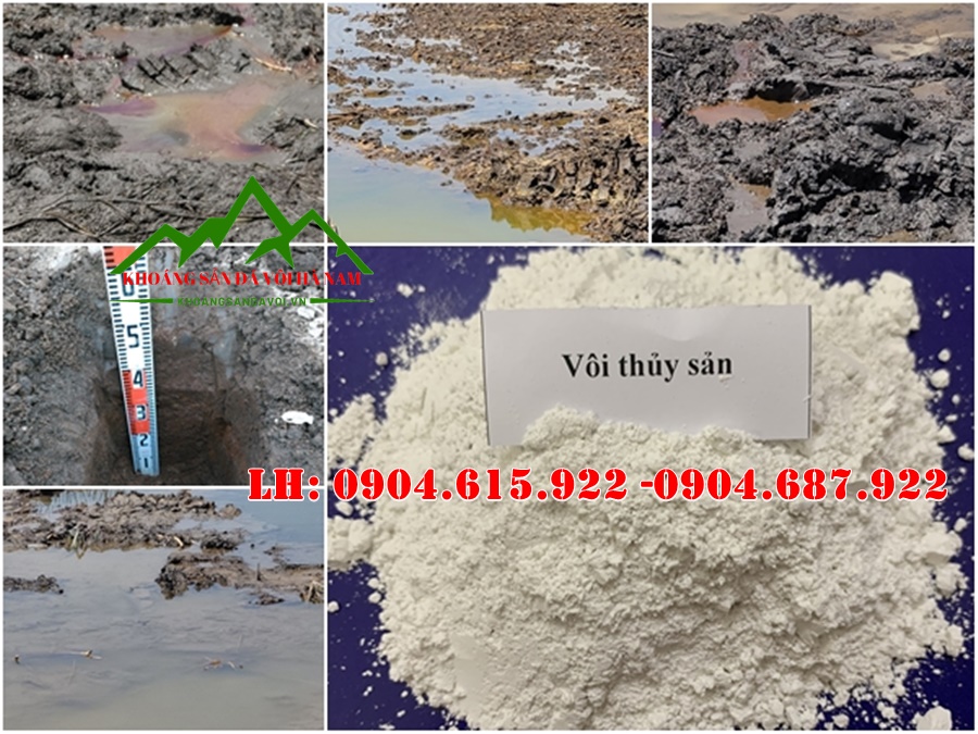 cong-dung-cua-voi-thuy-san