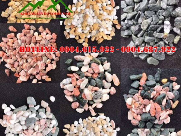 soi-trang-tri-chau-cay-canh