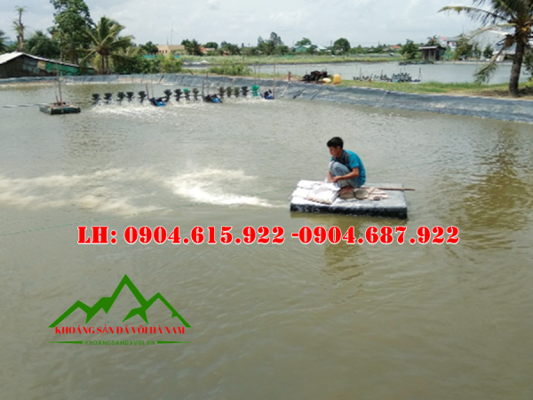 cong-dung-cua-voi-thuy-san