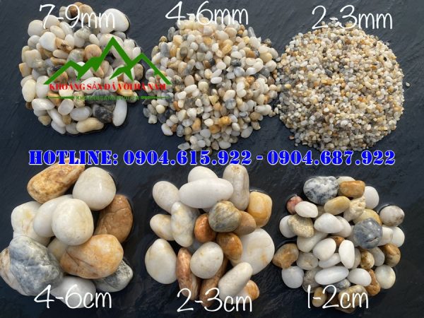 soi-trang-tri-chau-cay-canh