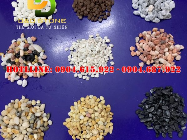 soi-trang-tri-chau-cay-canh