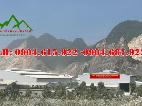 mua-ban-voi-cuc-voi-bot-so-luong-lon