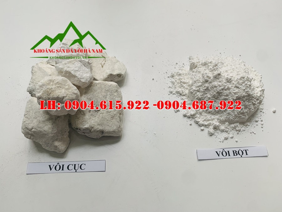 mua-ban-voi-cuc-voi-bot-so-luong-lon