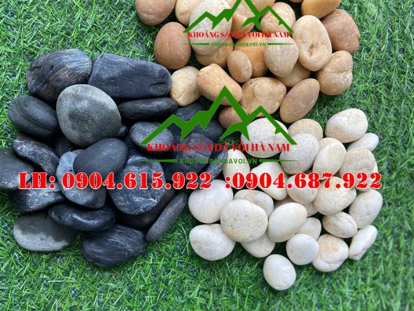 soi-trang-tri-nha-vuon-ngay-tet