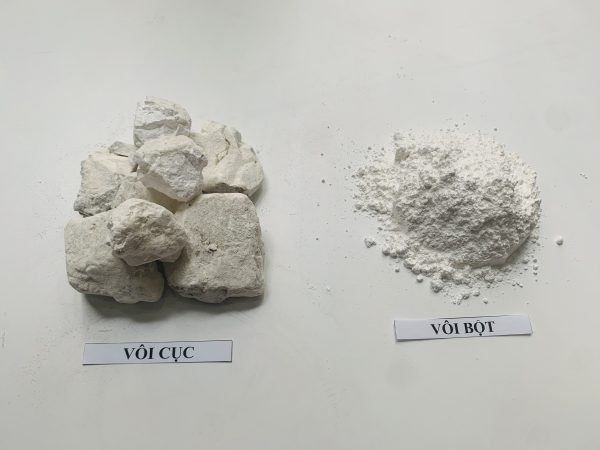 bang-gia-voi-cuc-voi-bot